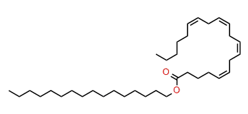 Hexadecyl (Z,Z,Z,Z)-5,8,11,14-eicosatetraenoate